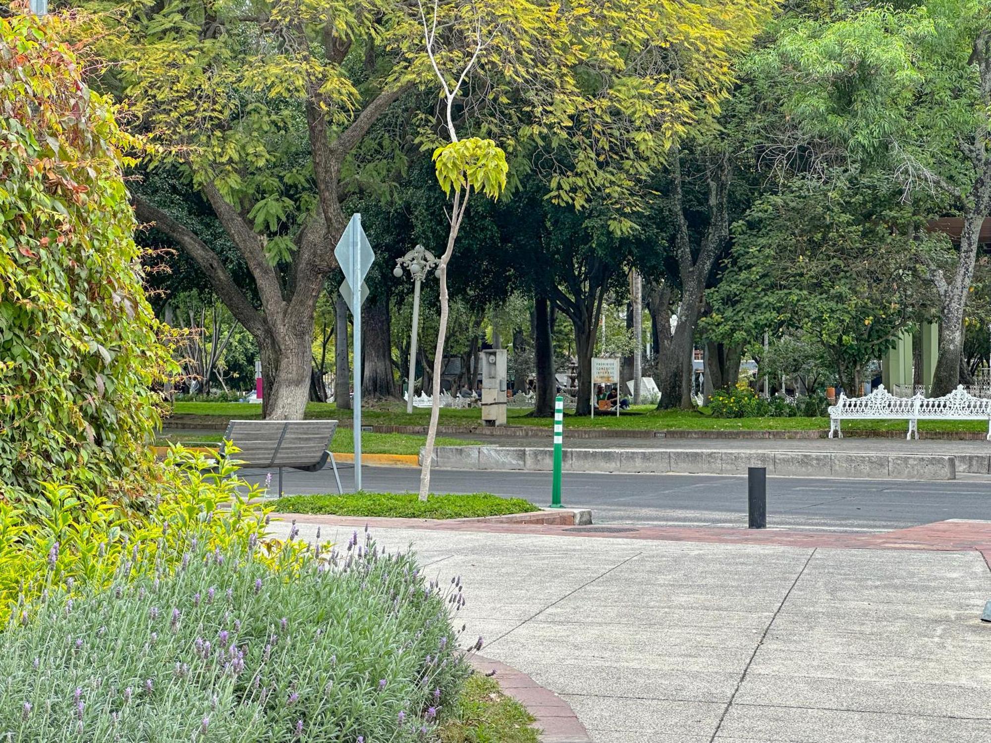 Estudio En Chapalita Estilo Y Confort Total 03 Guadalajara Dış mekan fotoğraf