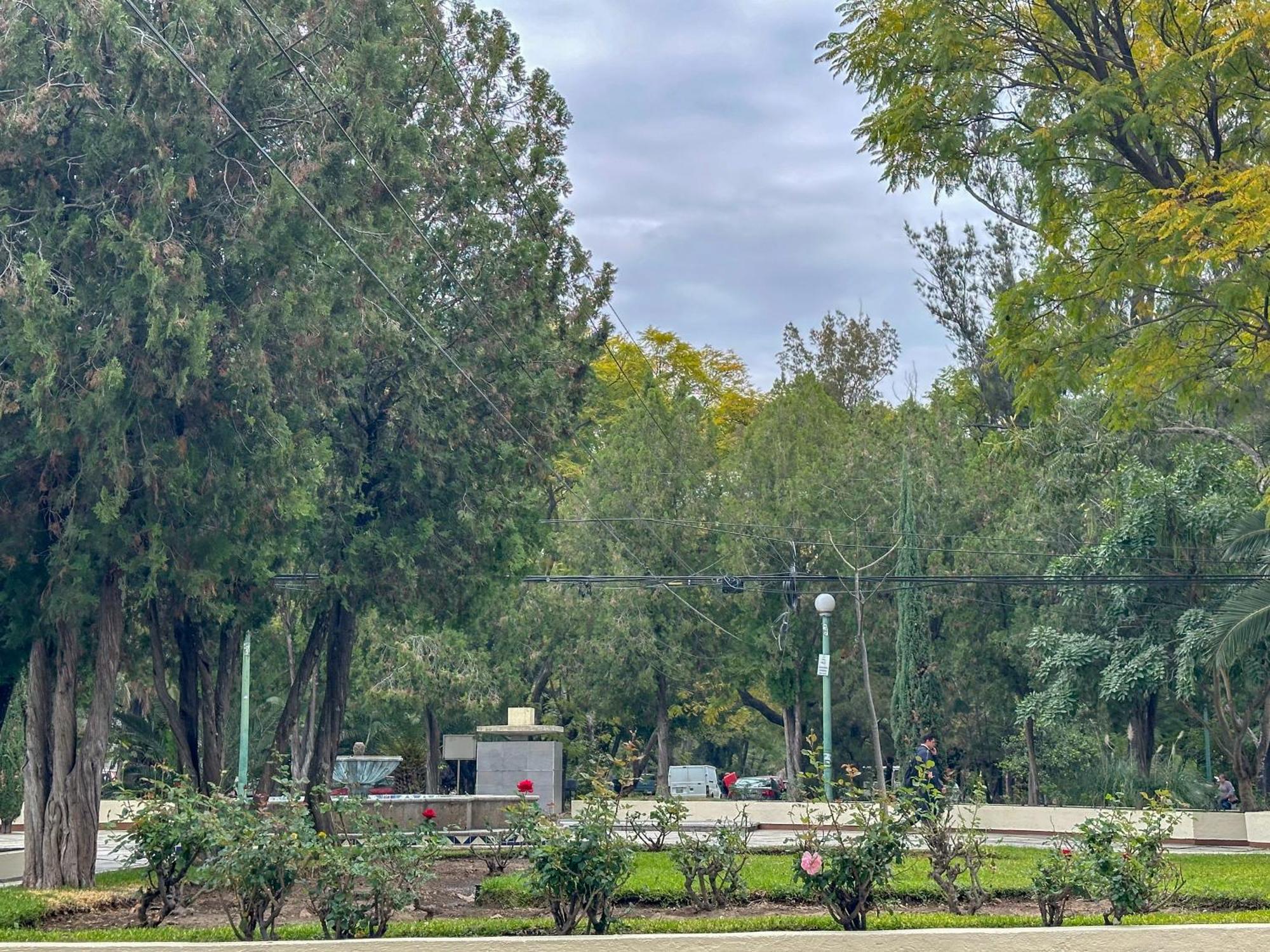 Estudio En Chapalita Estilo Y Confort Total 03 Guadalajara Dış mekan fotoğraf