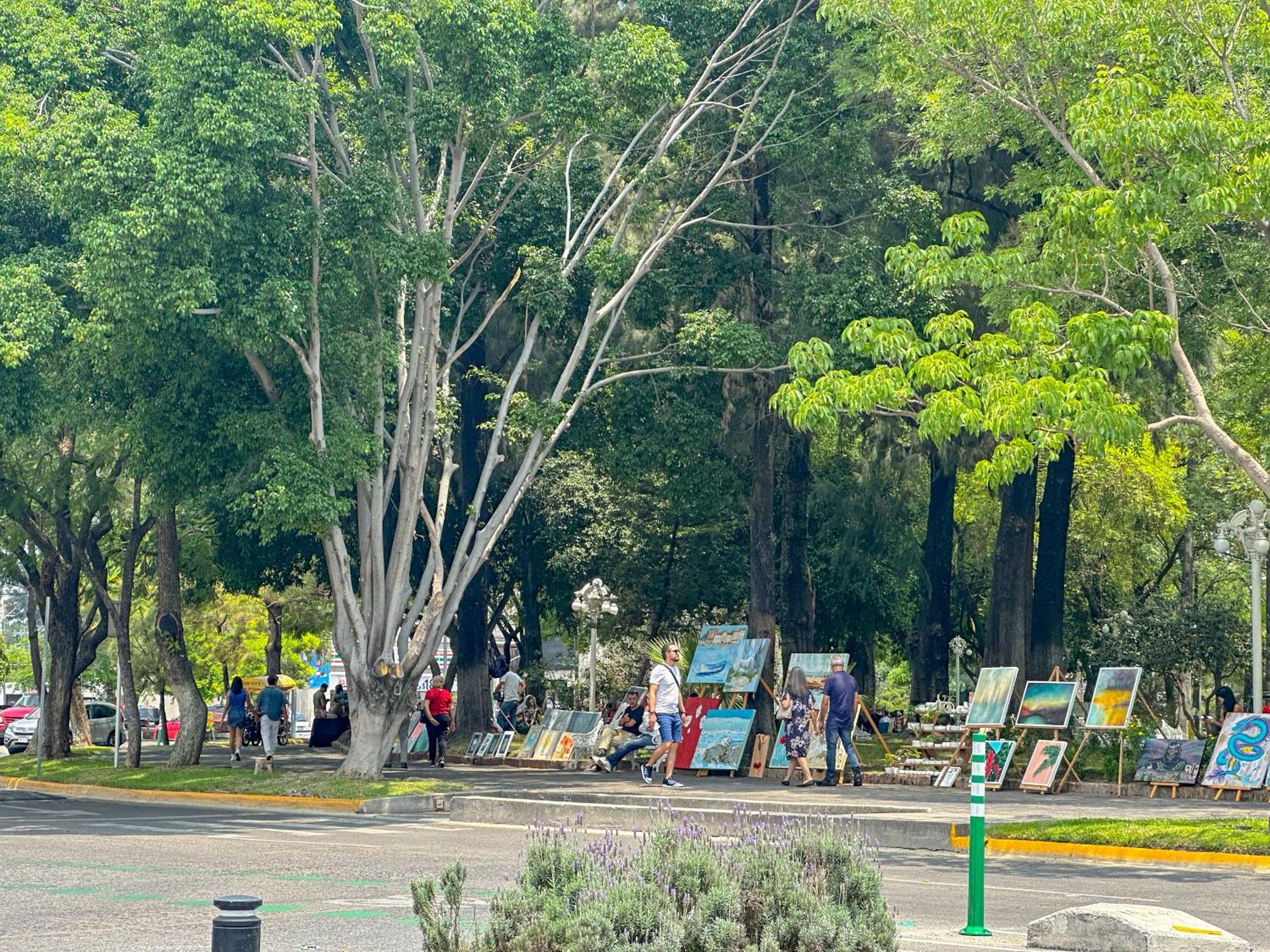 Estudio En Chapalita Estilo Y Confort Total 03 Guadalajara Dış mekan fotoğraf