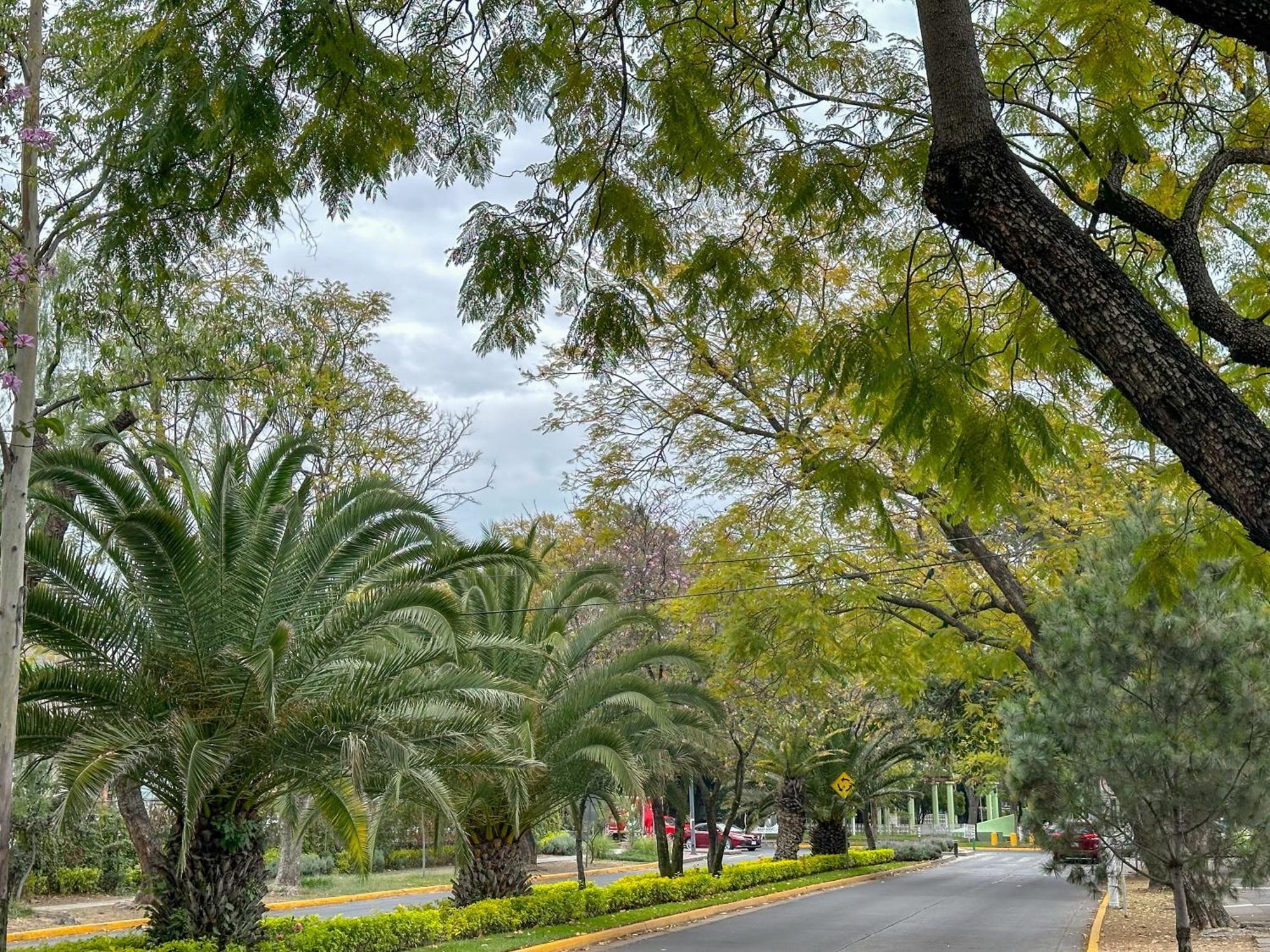 Estudio En Chapalita Estilo Y Confort Total 03 Guadalajara Dış mekan fotoğraf